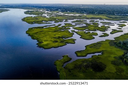 Jacksonville Florida USA intercostal waterways. Marshland. Nature Preserve - Powered by Shutterstock