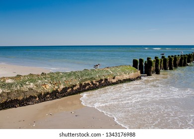 Jacob Riis Park NY