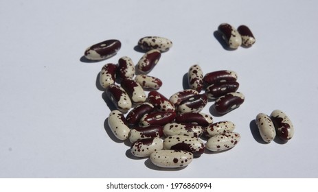 Jacobs Cattle Beans (Phaseolus Vulgaris), Also Known As Appaloosa Beans And Trout Beans,  In Close Up, Moderate Depth Of Field. The Bean Is An Heirloom Variety From Maine.