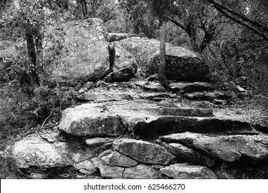 Jacobs Well Park 