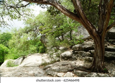 Jacobs Well Park 