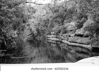 Jacobs Well Stream 