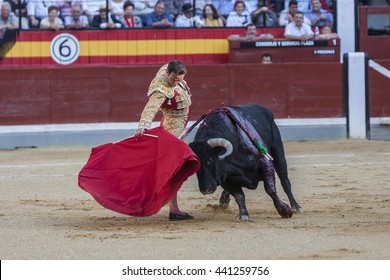 Jaen, Spain - October 18, 2010: The Spanish Bullfighter Enrique Ponce bullfighting with the crutch in the Bullring of Jaen, Spain