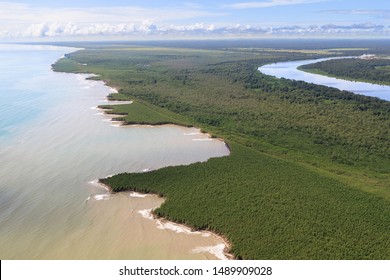 Jagged coastline of french guiana - Shutterstock ID 1489909028