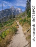 The jagged peaks of Grand Teton and Mount Owen rise above a dirt hiking path surrounded by dead and living trees, along with colorful plants.