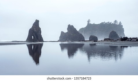 Jagged sea stack rocks at Ruby Beach, Olympic National Park, WA