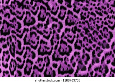 Jaguar Fur Pattern Seamless Real Hairy Texture