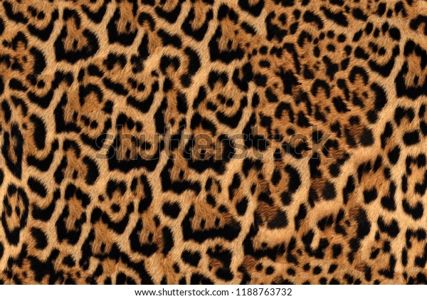 Jaguar Fur\
Pattern Seamless Real Hairy\
Texture