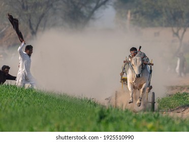 Jahanian, Punjab , Pakistan February 21, 2021: Farmers racing on bullock carts during wheat harvest festivals 
