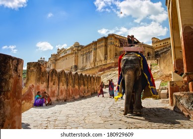 JAIPUR, RAJASTHAN/ INDIA - SEPTEMBER 26, 2013: Decorated elephant carry driver in Amber Fort on September 26, 2013 in Jaipur, Rajasthan, India. 