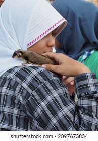 Jakarta, 24 March 2013, People at CFD (Car Free Day): A girl is playing with a sugar glider at the Stand of Sugar Glider Lover.