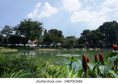 22 Situ lembang Images, Stock Photos & Vectors | Shutterstock