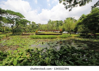 352 Tabebuya park Images, Stock Photos & Vectors | Shutterstock