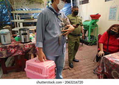 Jakarta, Indonesia, Oct 6, 2021, A Cat Owner Holds His Pets After Get Shot By A Veterinarian In Free Rabies Vaccination By The Department Of Food Security, Maritime Affairs And Agriculture (KPKP) 