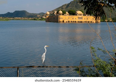  Jal Mahal, the stunning Water Palace in Jaipur, India. Surrounded by tranquil waters and set against a backdrop of lush hills, it exudes architectural elegance and serenity. - Powered by Shutterstock