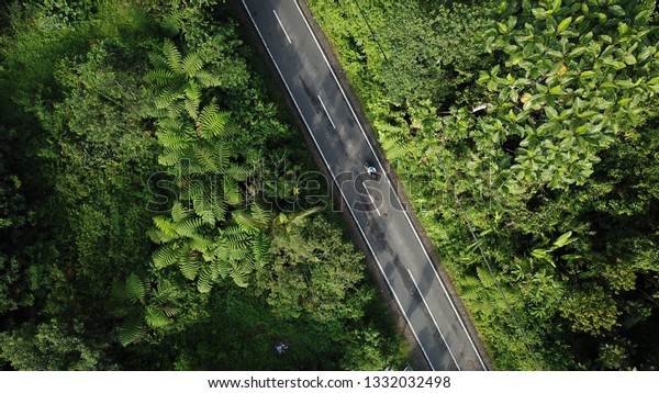 Jalan Yang Membelah Taman Nasional Bukit Stock Photo Edit