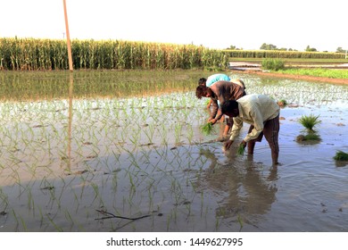 Jalandhar Haryana India June 27 2019 Stock Photo 1449627995 