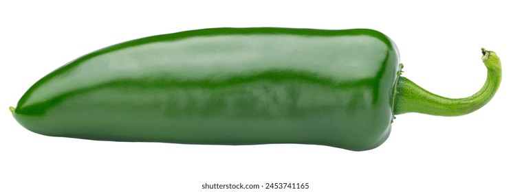 Jalapeno pepper. Green jalapeño pepper on isolated white background. Spicy jalapeno pepper with stem. Fresh, ripe and good for salad of salsa. Healthy eating with nutrition. Whole Mexican pepper plant