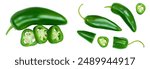 jalapeno peppers isolated on white background. Green chili pepper . Top view. Flat lay