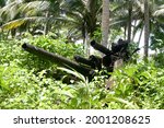 Jaluit atoll, Marshall Islands - Anti-aircraft artillery on Imej island