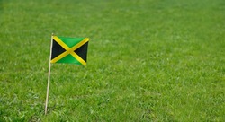 Jamaica Flag. Photo Of Jamaica Flag On A Green Grass Lawn Background. National Flag Waving Outdoors.