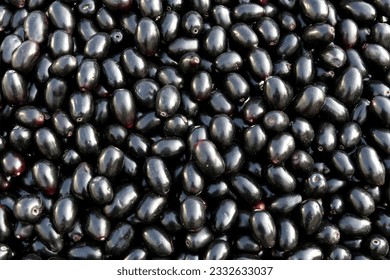 jambolan plum, jamun fruit,  java plum in English large group