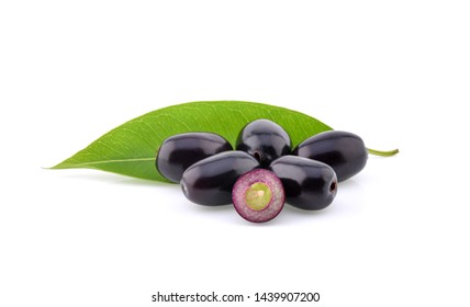 1,003 Java plum tree Images, Stock Photos & Vectors | Shutterstock