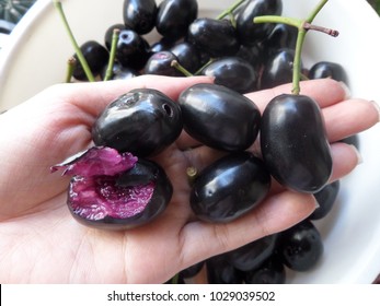  Jambolan plum, Java plum, Jambul