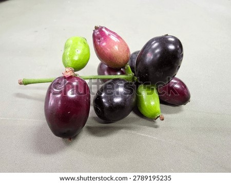 Jambolan plum, Java plum, jambul