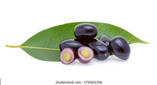 366 Jambhul Images, Stock Photos & Vectors | Shutterstock