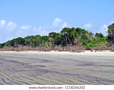 Jamtola beach, Sundarbans, Bangladesh