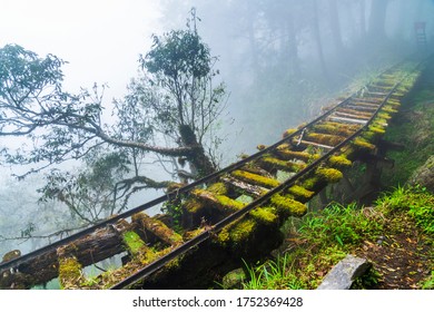 Jancing Historic Trail In Yilan Taipingshan National Forest Recreation Area, Taiwan.