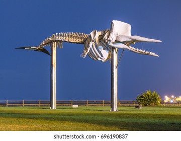 JANDIA, FUERTEVENTURA, CANARY ISLANDS, SPAIN - JUNE 13, 2016: Sperm whale skeleton in park at night time in Fuerteventura,  Jandia, Playa del Matorral. Canary Islands, Spain.