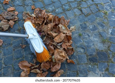 The janitor removes fallen dry leaves from the pavement with a large broom brush. - Powered by Shutterstock