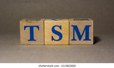 Tsm stock price