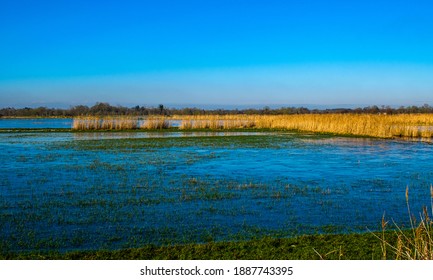 January 2021, The Marshes Are Frozen, Not Far From Challans, By A Superb Day In Vendée, France.