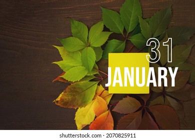 January 31st . Day 31 of month, Calendar date. Autumn leaves transition from green to red with calendar day on yellow square, wooden background. Winter month, day of the year concept