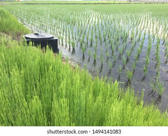 Japan Agriculture Field Clean System