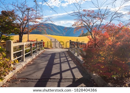 Japan. Autumn in Kawaguchiko. The path goes off into the distance. A bridge with a stone railing and a path against the mountains. Fuji. Mountain landscape of Japan. Travel to Japan in autumn.