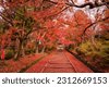 kyoto autumn
