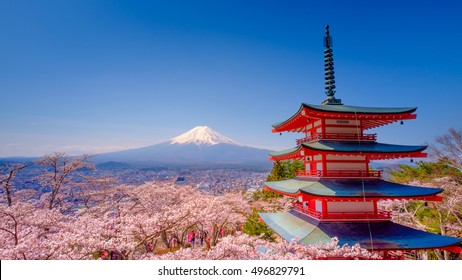 Japan beautiful landscape Mountain Fuji and Chureito red pagoda with cherry blossom sakura - Shutterstock ID 496829791