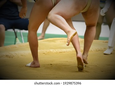 Japan
A Boy Playing A Sumo Match