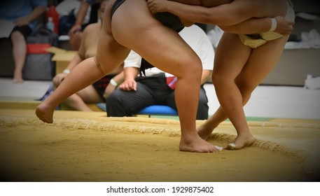 Japan
A Boy Playing A Sumo Match