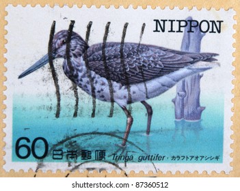 JAPAN - CIRCA 1995: A stamp printed in Japan shows Tringa guttifer, circa 1995