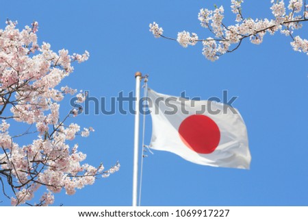 Japan Flag and cherry blossoms