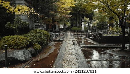 Japan graveyard, nature and culture by tombstone in landscape environment, autumn leaves and plants. Wet, cemetry and stone for asian cemetery in urban kyoto and wet with indigenous shinto religion