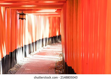 Japan image.  Red gate in Kyoto