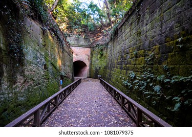 Japan Kanagawa Yokosuka Saru Shima Monkey Island Meiji Restoration Fort Battery