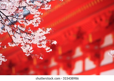 Japan, Kyoto, Shinto Shrine, Sakura