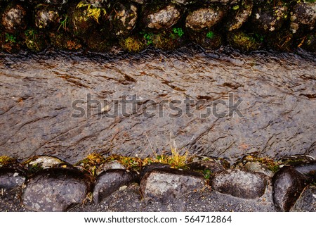 Similar – Image, Stock Photo autumn of spectators